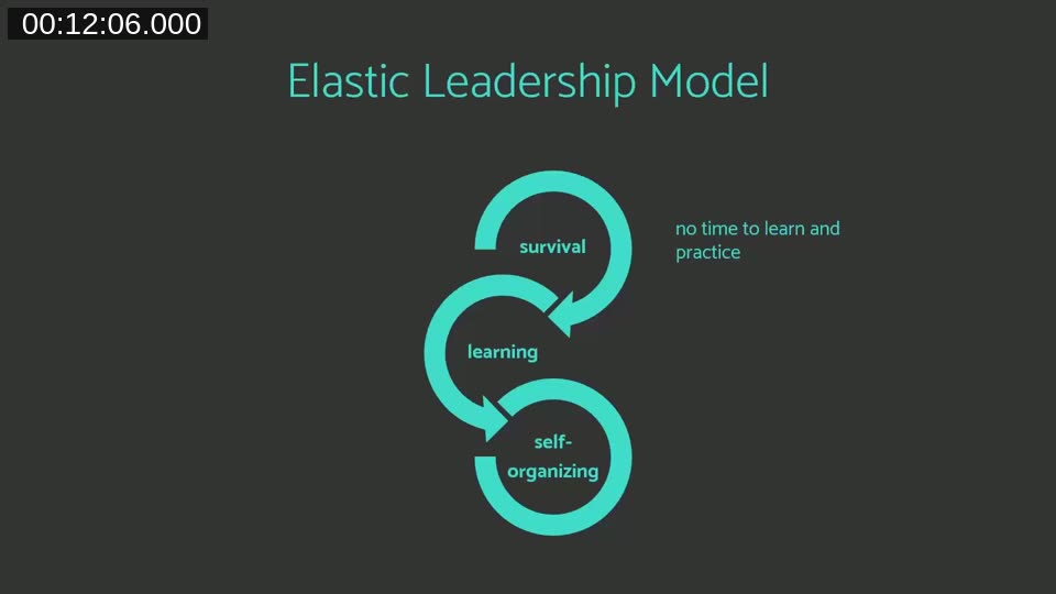 The Elastic Leadership Model showing three phases: survival, learning, and self-organizing, connected in a flowing loop diagram